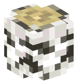 Minecraft head — Blocks