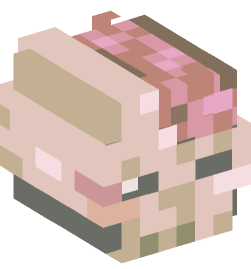 Minecraft head — Decor