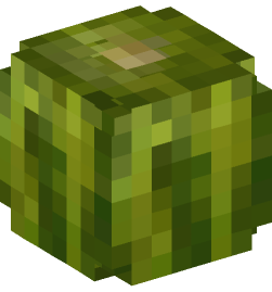 Minecraft head — Plants