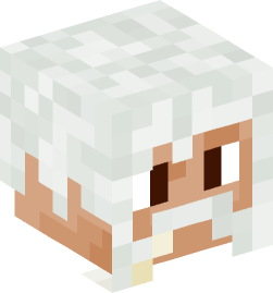 Minecraft head — People