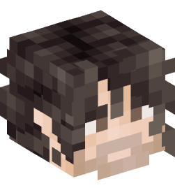 Minecraft head — People