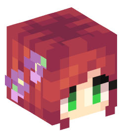 Minecraft head — People