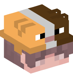 Minecraft head — People