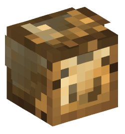 Minecraft head — Decor