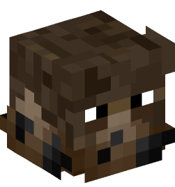 Minecraft head — Decor