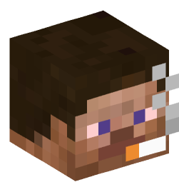 Minecraft head — People