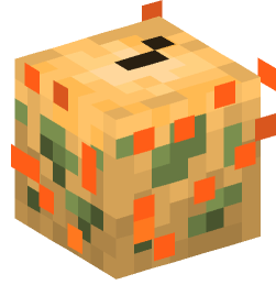 Minecraft head — Miscellaneous