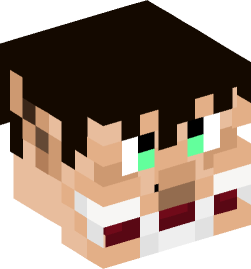 Minecraft head — People