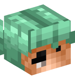 Minecraft head — People