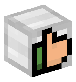 Minecraft head — Miscellaneous