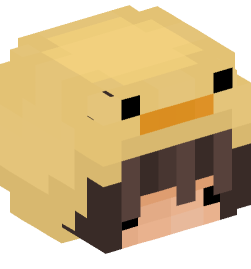 Minecraft head — People