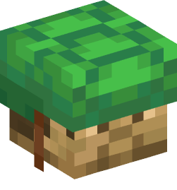 Minecraft head — Decor