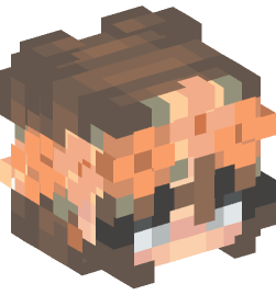 Minecraft head — People