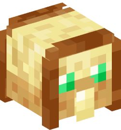 Minecraft head — Decor