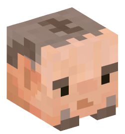 Minecraft head — Creatures