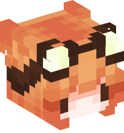 Minecraft head — People