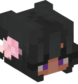 Minecraft head — People