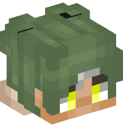 Minecraft head — People