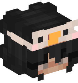 Minecraft head — People