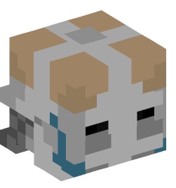 Minecraft head — People