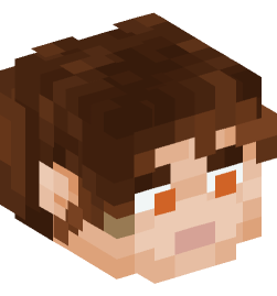 Minecraft head — People