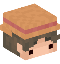 Minecraft head — People