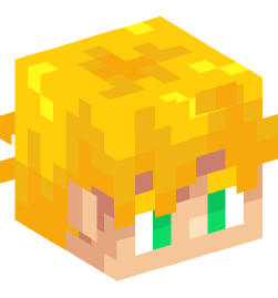 Minecraft head — People