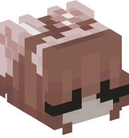 Minecraft head — People