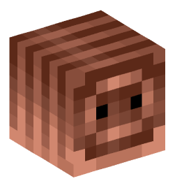 Minecraft head — Animals