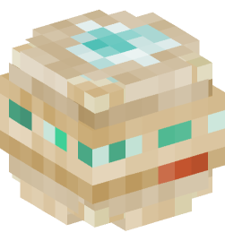 Minecraft head — Decor