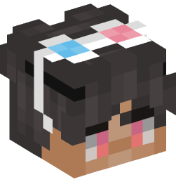 Minecraft head — People