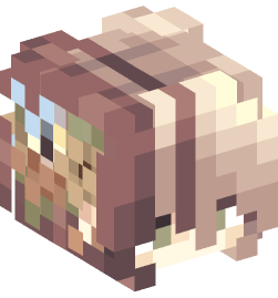 Minecraft head — People