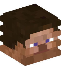 Minecraft head — People