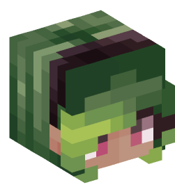 Minecraft head — People