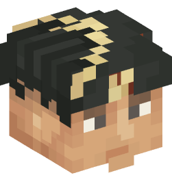 Minecraft head — People