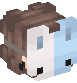 Minecraft head — People