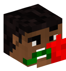 Minecraft head — People