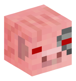 Minecraft head — Animals