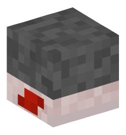 Minecraft head — Animals