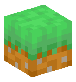 Minecraft head — Blocks