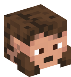 Minecraft head — People