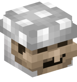 Minecraft head — People