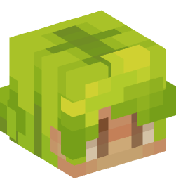 Minecraft head — People