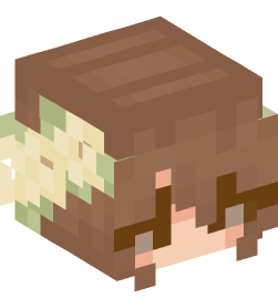 Minecraft head — People