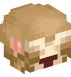 Minecraft head — Miscellaneous