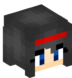 Minecraft head — People