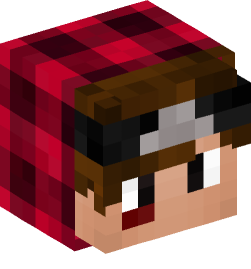 Minecraft head — People