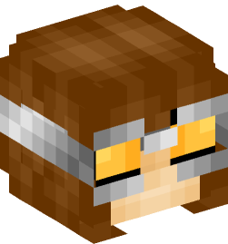 Minecraft head — People