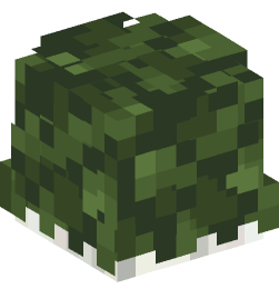 Minecraft head — Plants