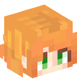 Minecraft head — People